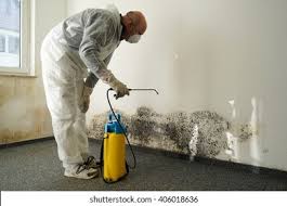 Best Environmental Consulting for Mold Prevention  in Rock Hall, MD